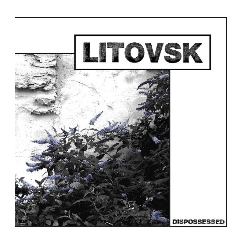 LITOVSK - Dispossessed Lp