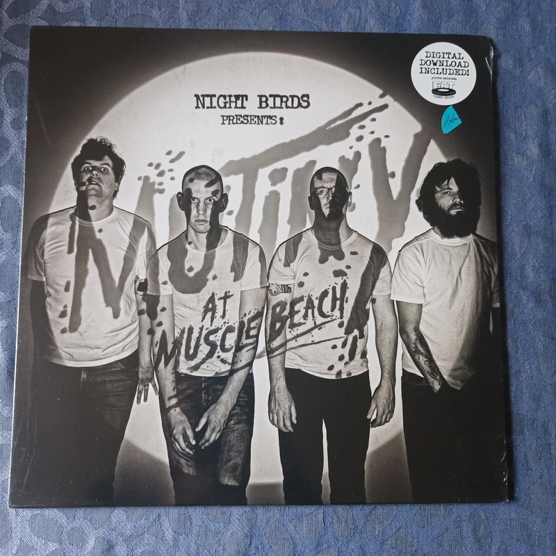 Night Birds - at muscle beach Lp
